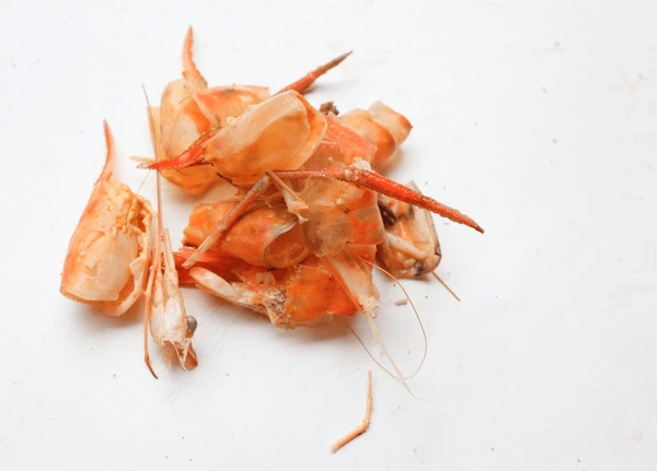 Chitin from Crustacean Shells